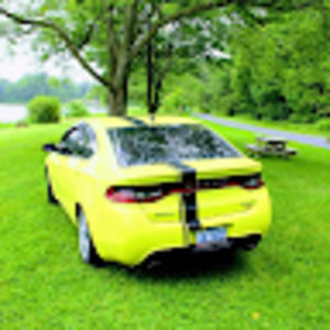 Meet your Posher, Terri